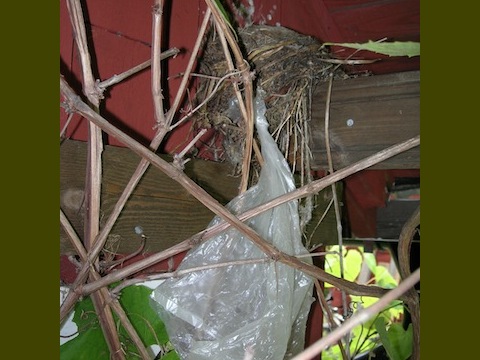 DSCN0036 2